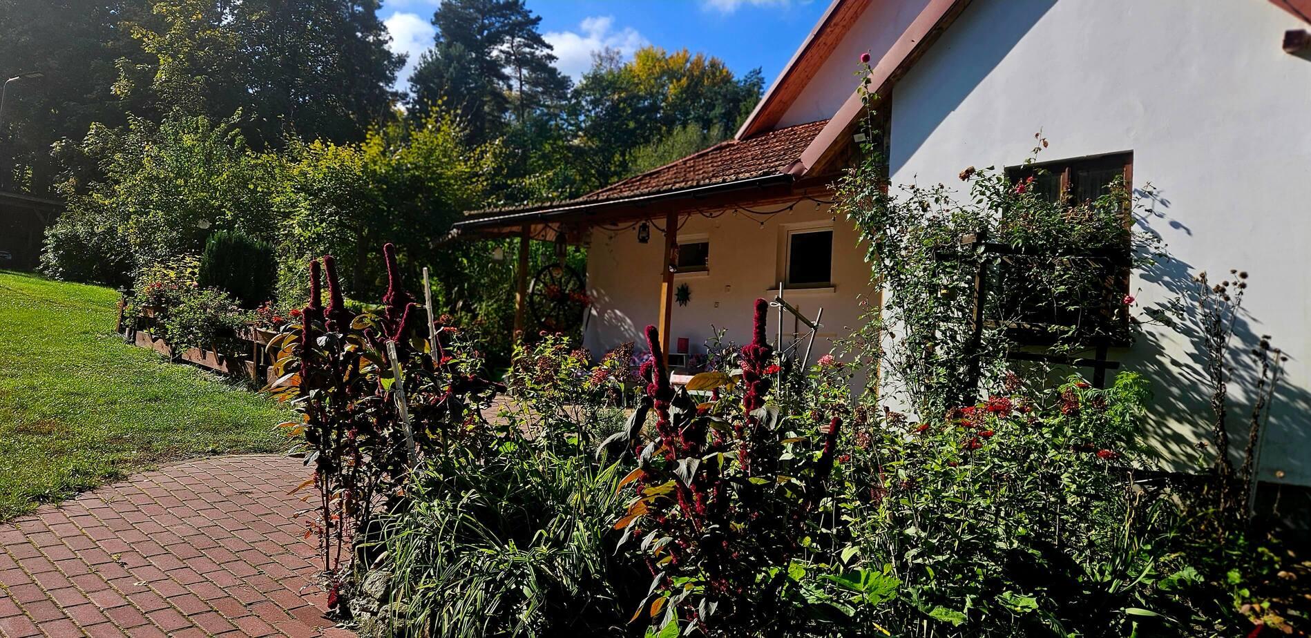 Widok ogrodu i trawnika obok domu