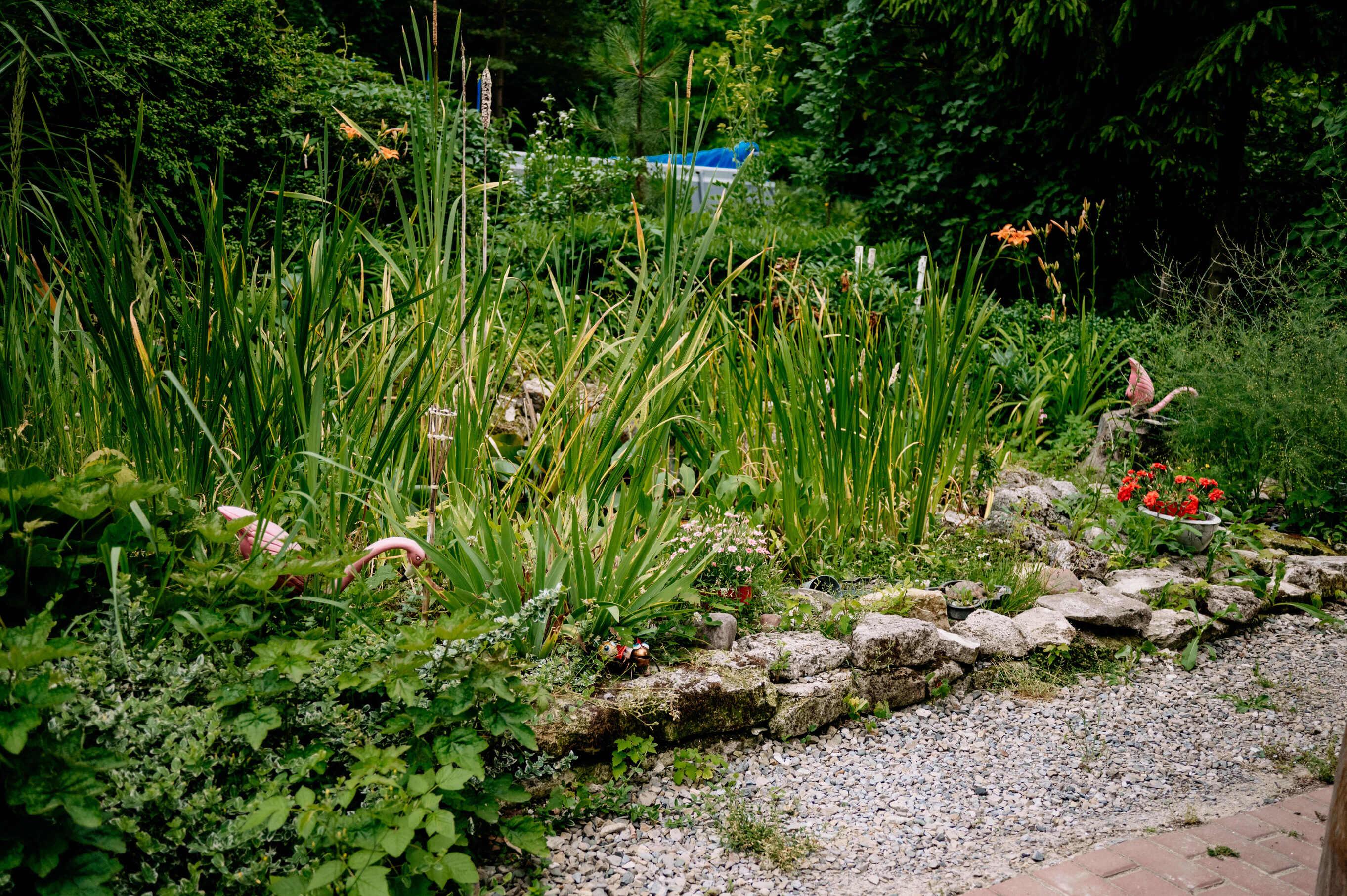 Ujęcie domu z ogrodu z większej odległości