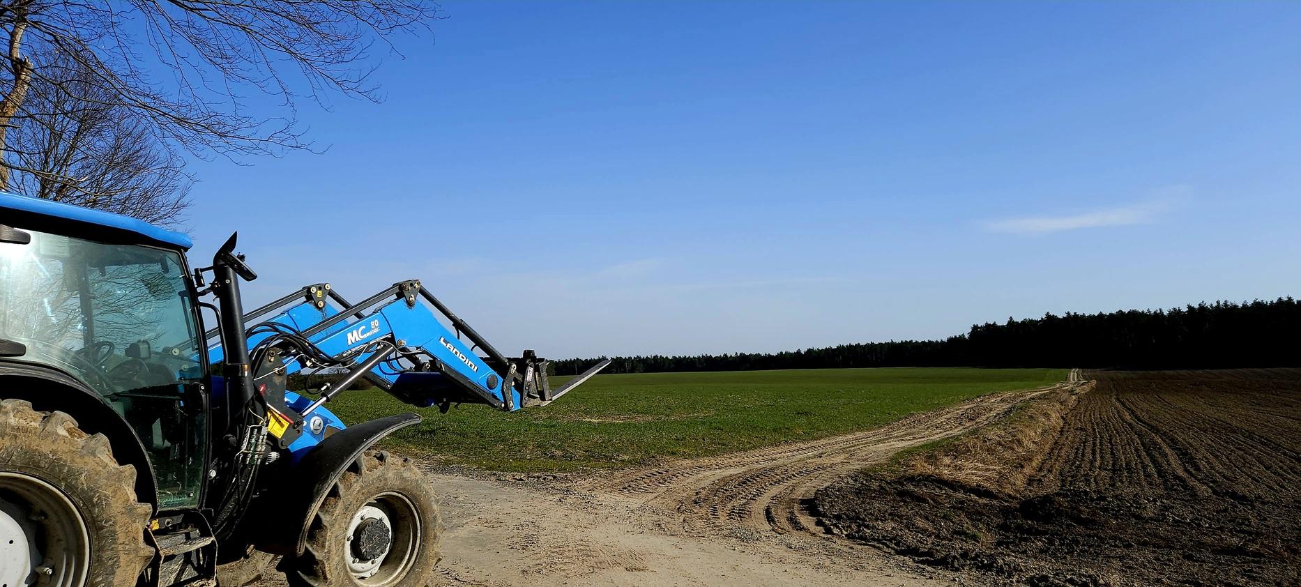 Widok na las i niebo