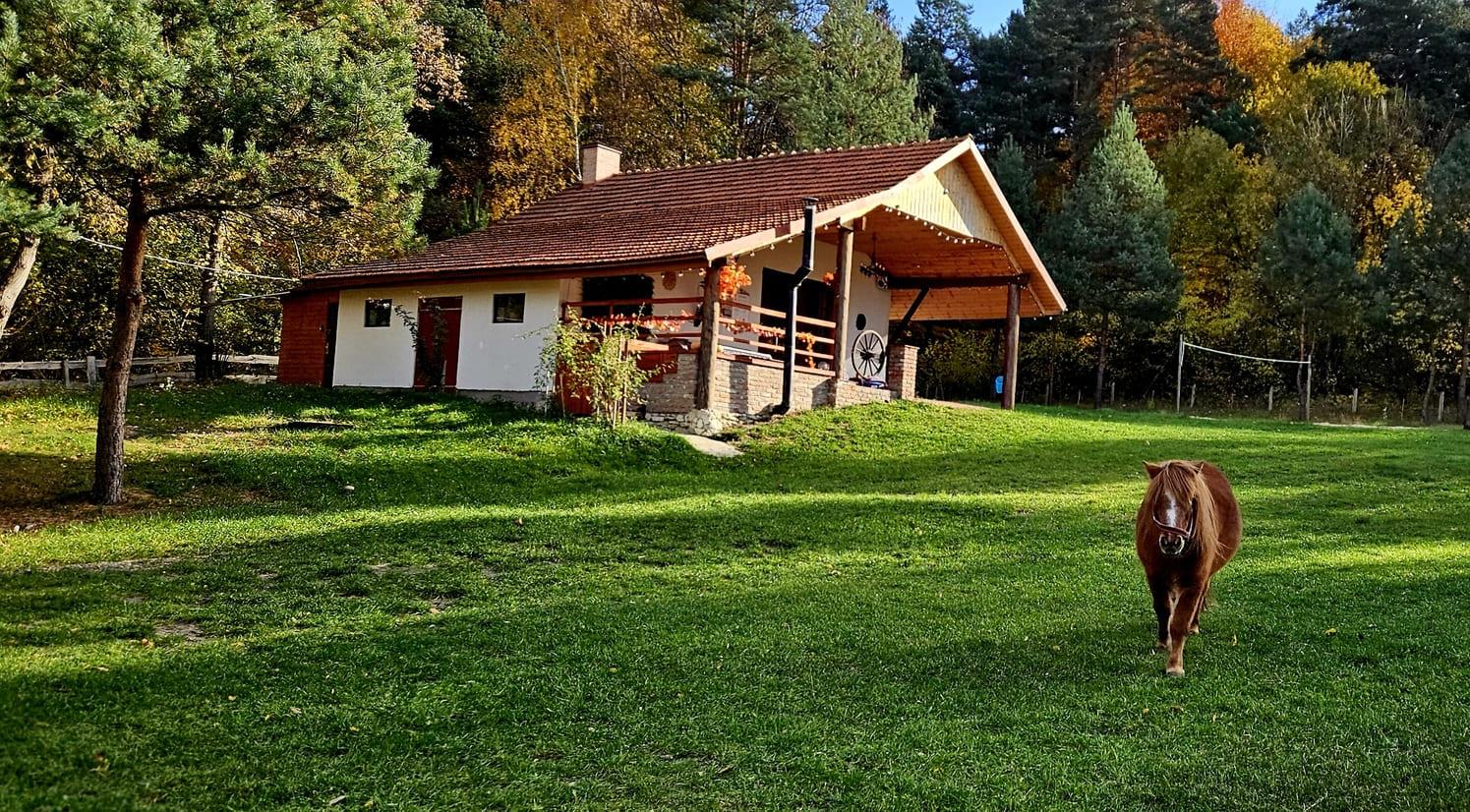 Widok na dom z ogrodu