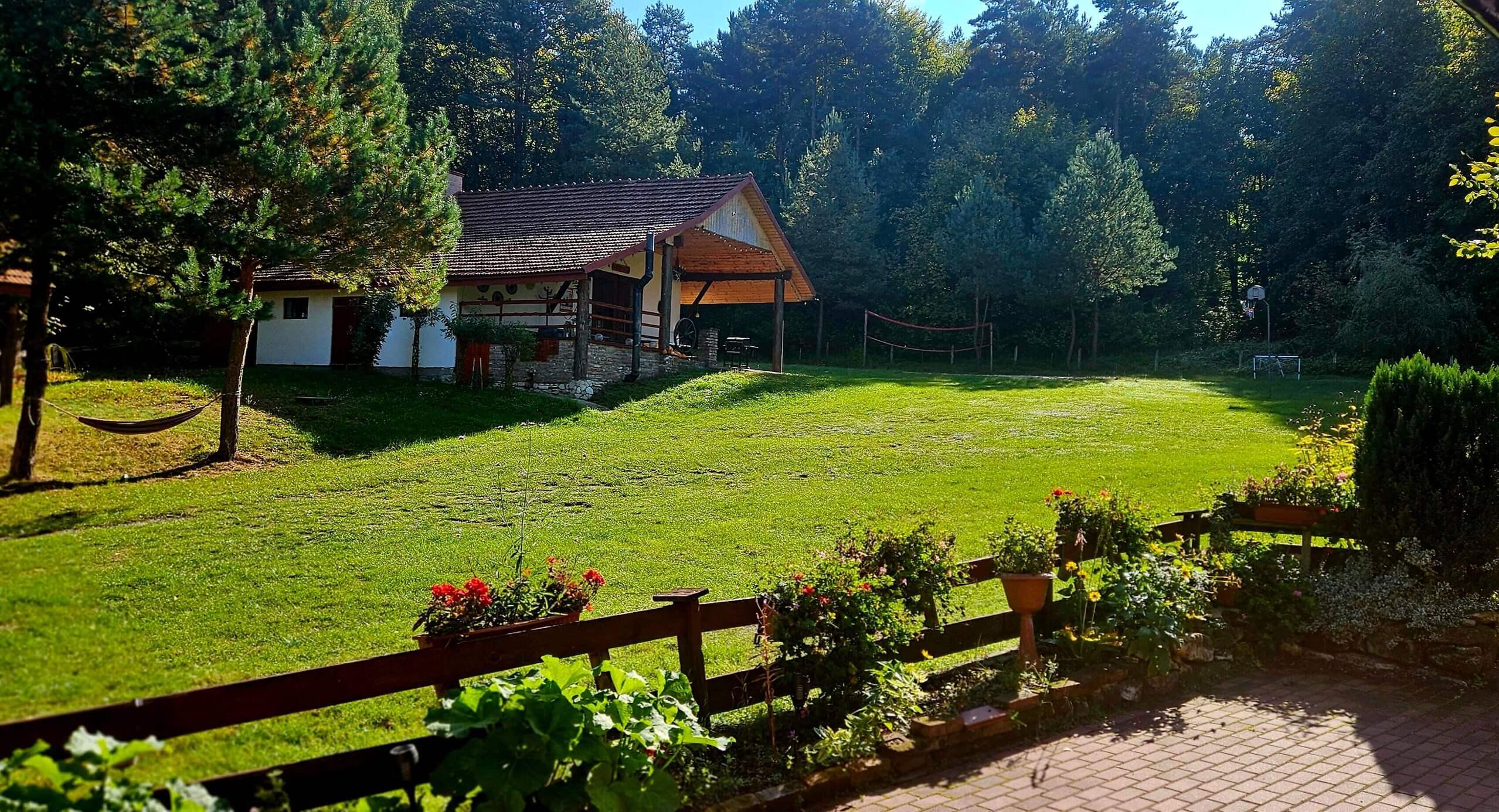 Ogród z trawnikiem i drzewami