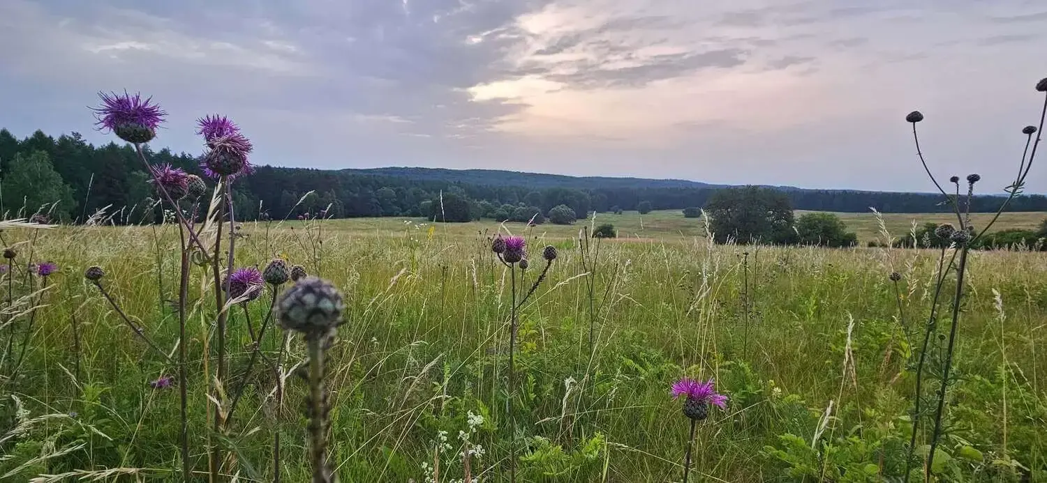 Widok na pola i niebo