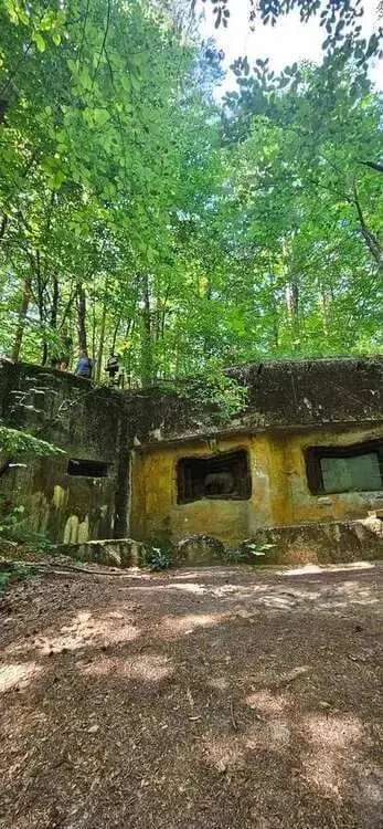 Drewniany budynek gospodarczy