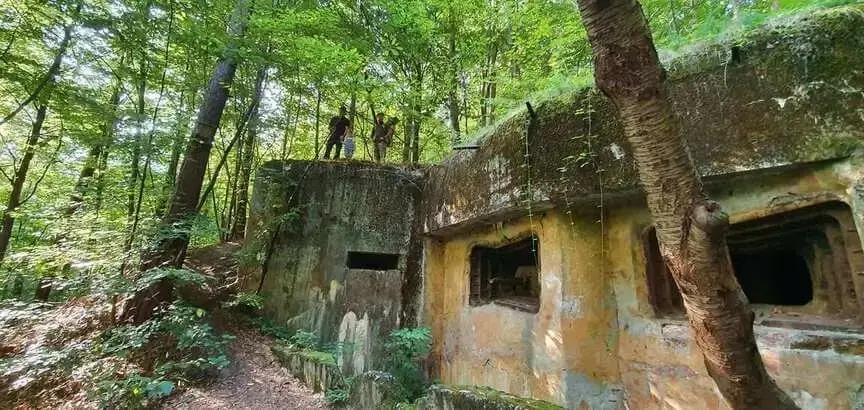 Zabudowania drewniane