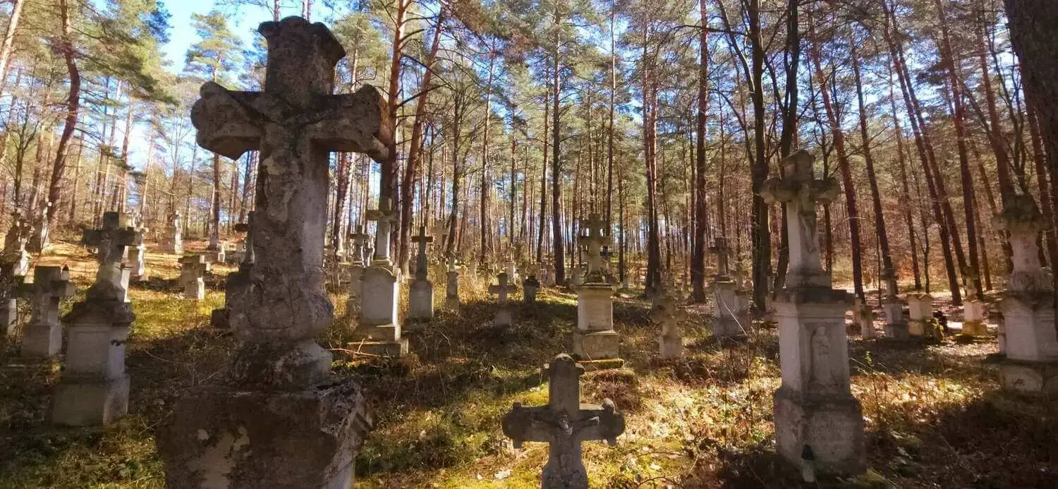 Gniazdo bociana na dachu