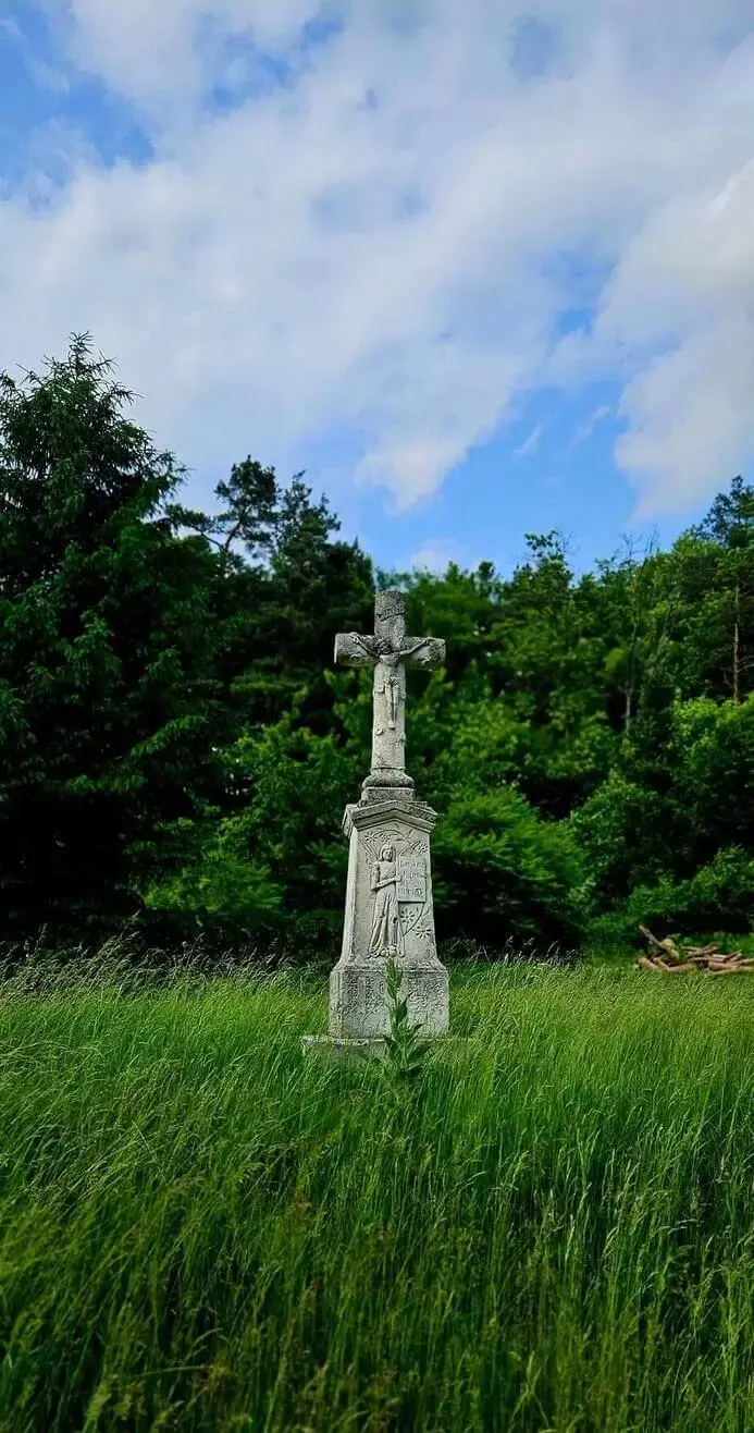 Ścieżka wśród drzew