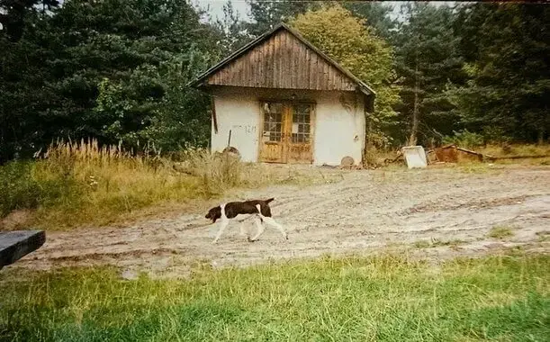 Stara chata z dachem