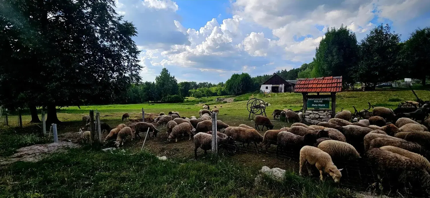 Zabudowania z jeziorem