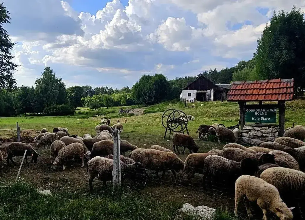 zdjęcie gospodarstwa